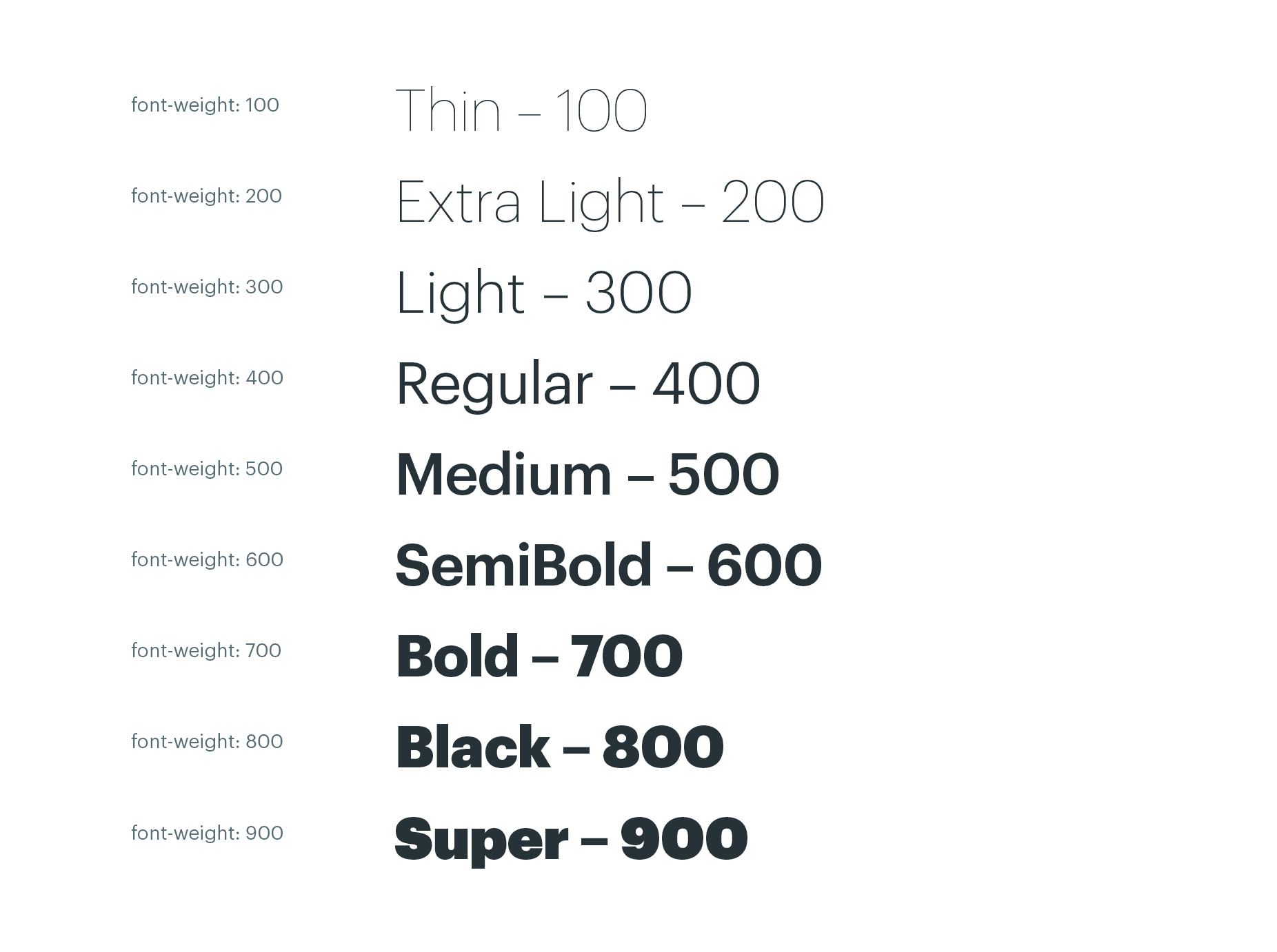 The different font weights available.